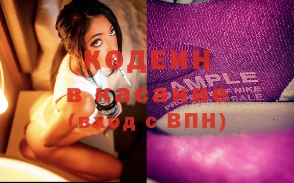 шишки Аркадак