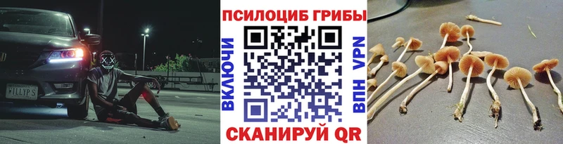 Галлюциногенные грибы мухоморы  купить наркоту  Озёрск 
